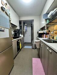 Treasure Crest (D19), Condominium #498658921